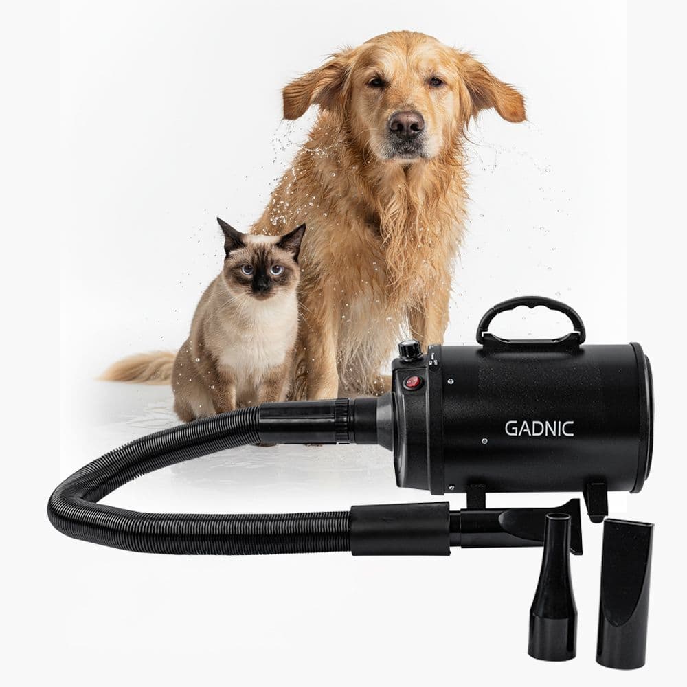 Secador De Pelo Profesional Para Mascotas Gadnic 70 m/s Velocidad Maxima Difusores Intercambiables 2000W