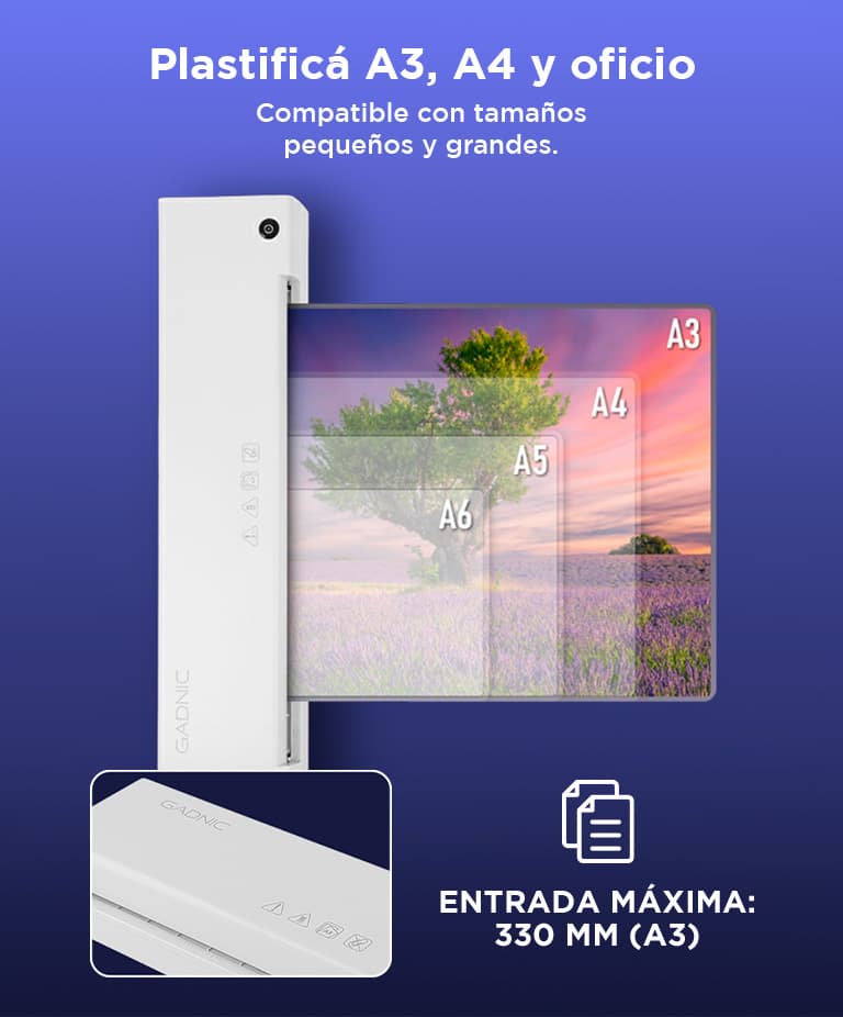 Miniatura