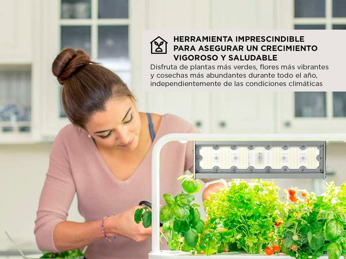 Imagen 4 del producto