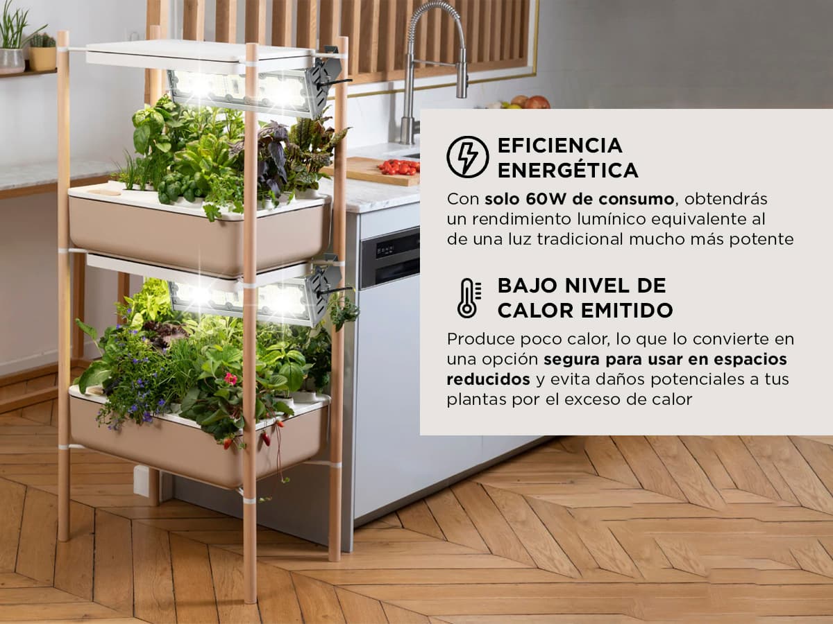 Imagen 5 del producto